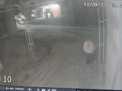 प्रेमी के कहने पर युवती ने 15 लाख चुराए:प्रयागराज में 12.5 लाख की ज्वैलरी तो 2.5 लाख कैश ले गई, CCTV से पकड़ी गई