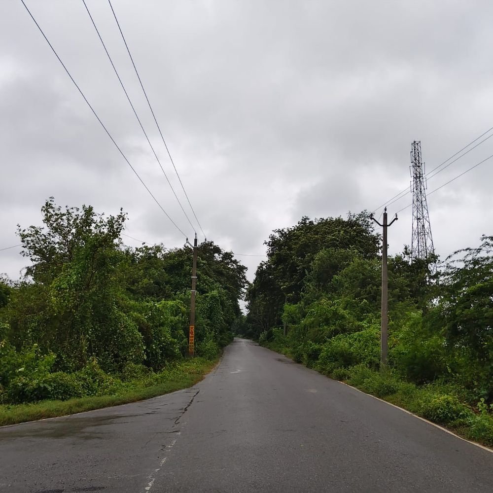 मऊ में हवाओं के साथ बारिश, धान की फसल गिरी:40 किमी प्रति घंटे की रफ्तार से चली हवाएं, पेड़ गिरे और बिजली सप्लाई पर असर