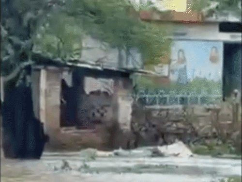 महोबा में 38-घंटे की बारिश से बीजा नगर टापू बना:सड़कों पर नाव चलाकर निकल रहे ग्रामीण, घरों में पानी घुसने से अनाज खराब