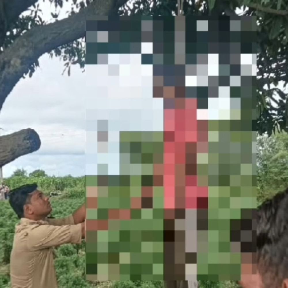 मेरठ में युवक ने पेड़ से लटककर की खुदकुशी:खेतों पर गए ग्रामीणों ने देखा, पत्नी से विवाद के बाद ससुराल से लौटा था
