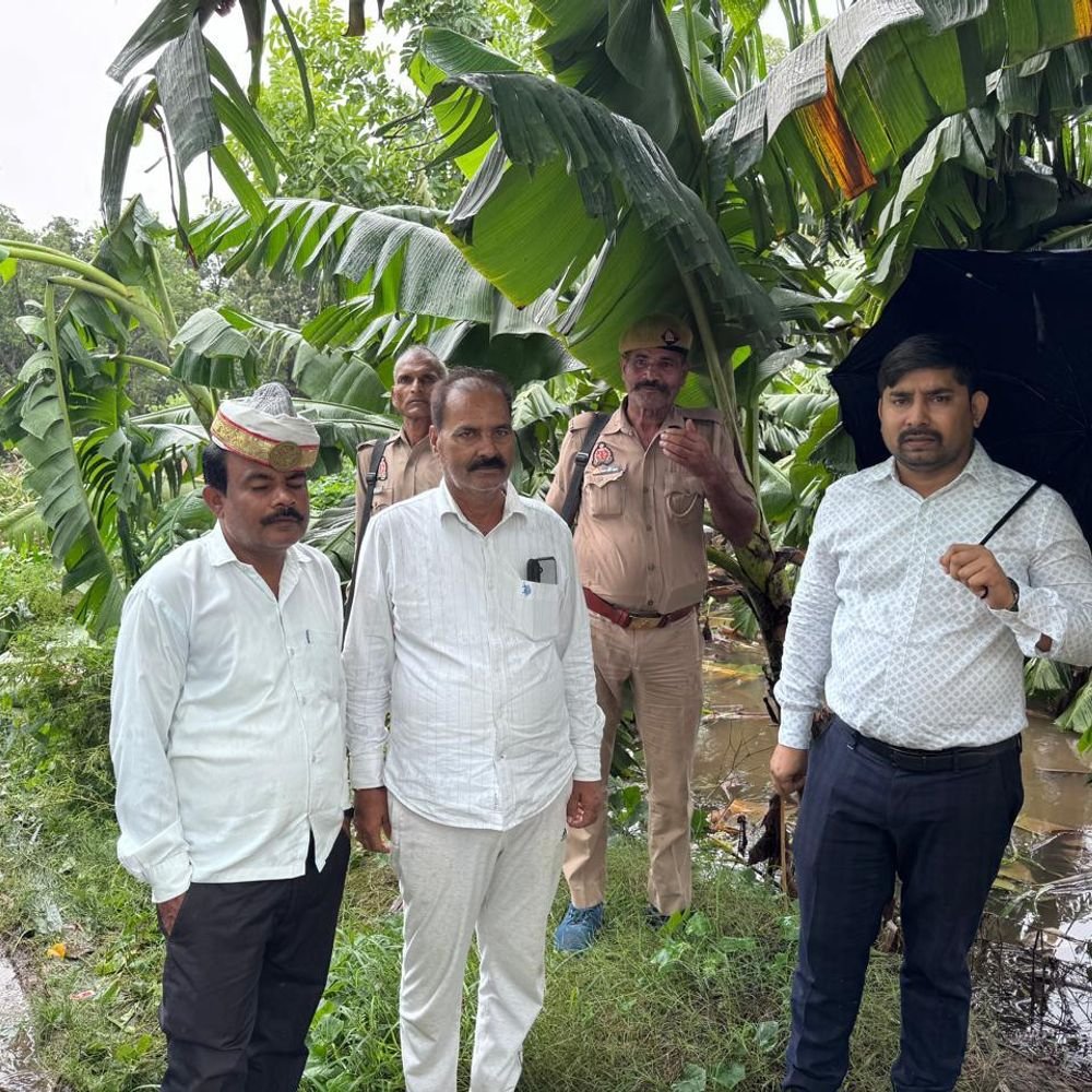 बारिश-तेज हवाओं से फसलों को भारी नुकसान:खेतों में पहुंचकर अधिकारियों ने लिया जायजा, किसानों को शीघ्र सहायता का भरोसा