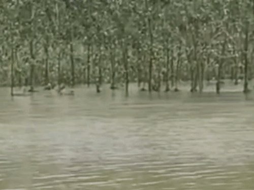 बिजनौर में गंगा नदी का पानी स्टेट हाईवे से उतरा:चांदपुर खादर में खतरा बरकरार, खेतों और जंगलों में अब भी भरा पानी