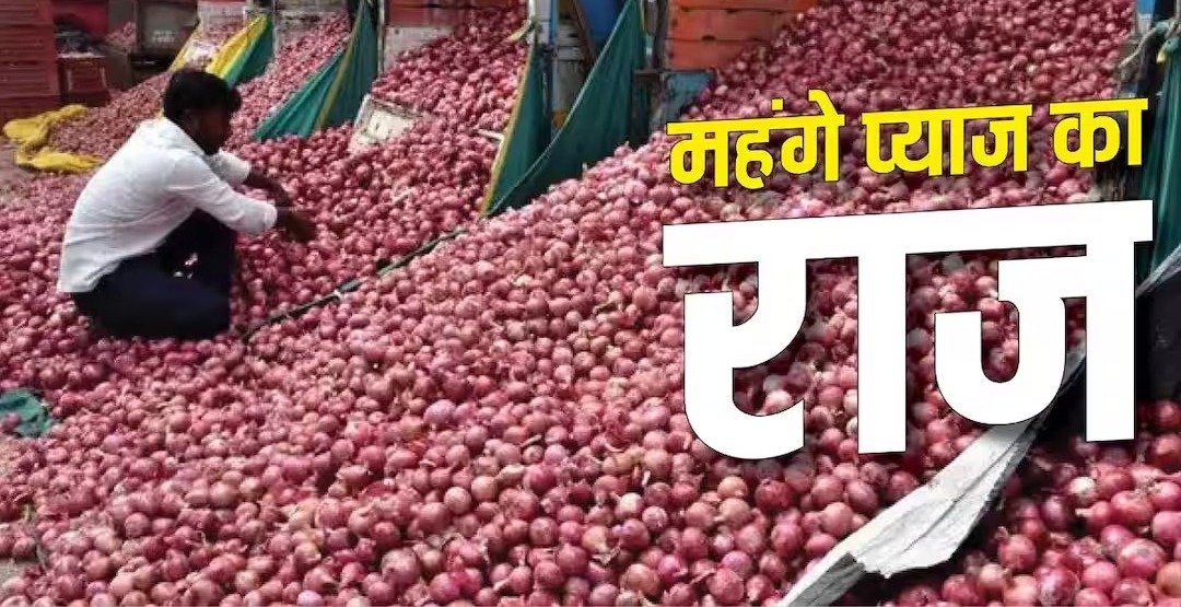 सितंबर-अक्टूबर में क्यों महंगा होता है प्याज? जानिए असली वजह