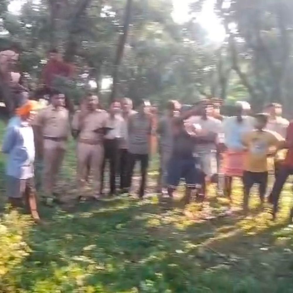 जगतपुर के बाग में विशालकाय मगरमच्छ पहुंचा:ग्रामीणों ने रस्सी से बांधकर सुरक्षित पकड़ा, वन विभाग को सूचना दी