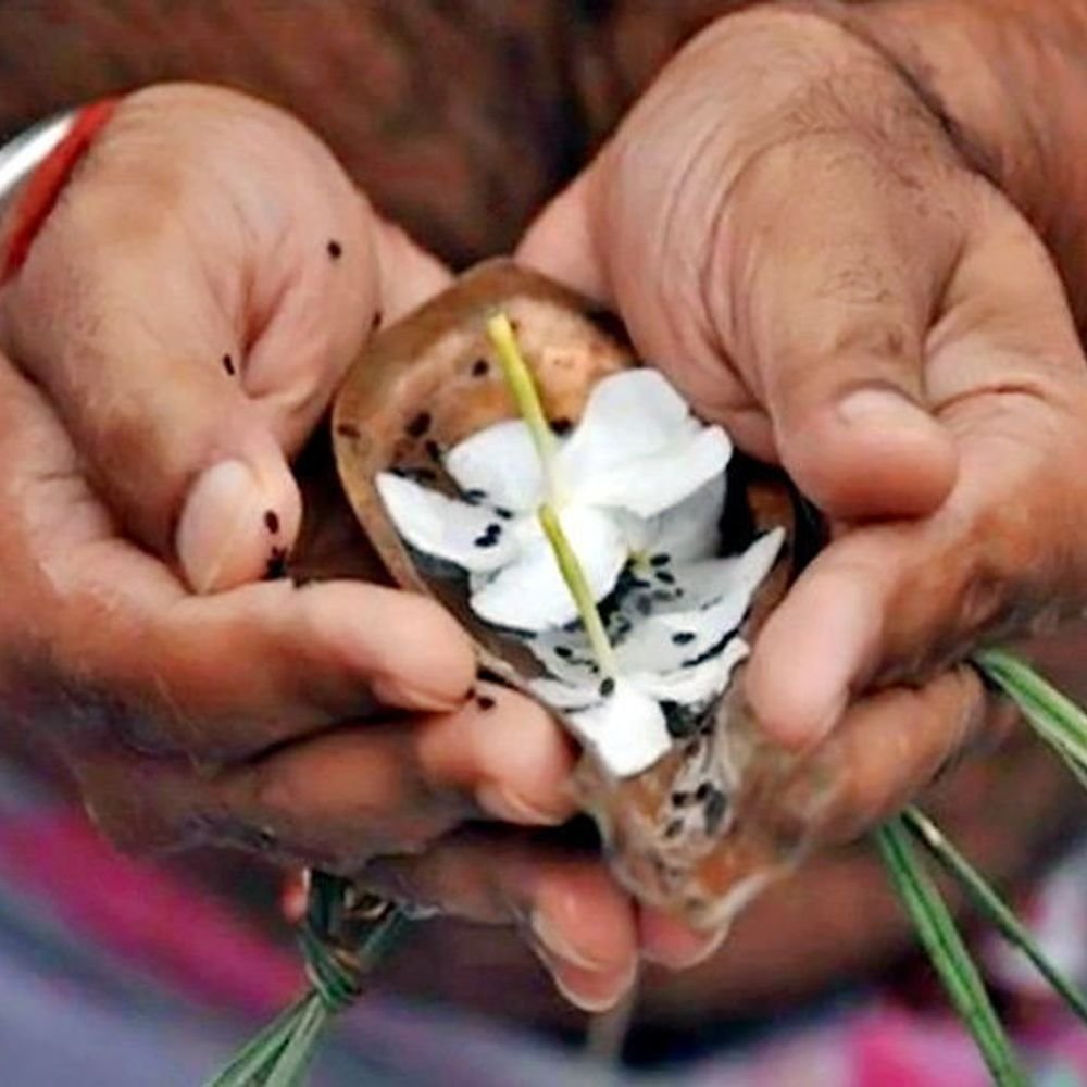 भाद्रपद पूर्णिमा आज और 10 अक्टूबर तक रहेगा पितृ पक्ष:श्राद्ध-तर्पण करने से घर-परिवार में बनी रहती है सुख-समृद्धि, जानिए किस तिथि पर किसका श्राद्ध करें