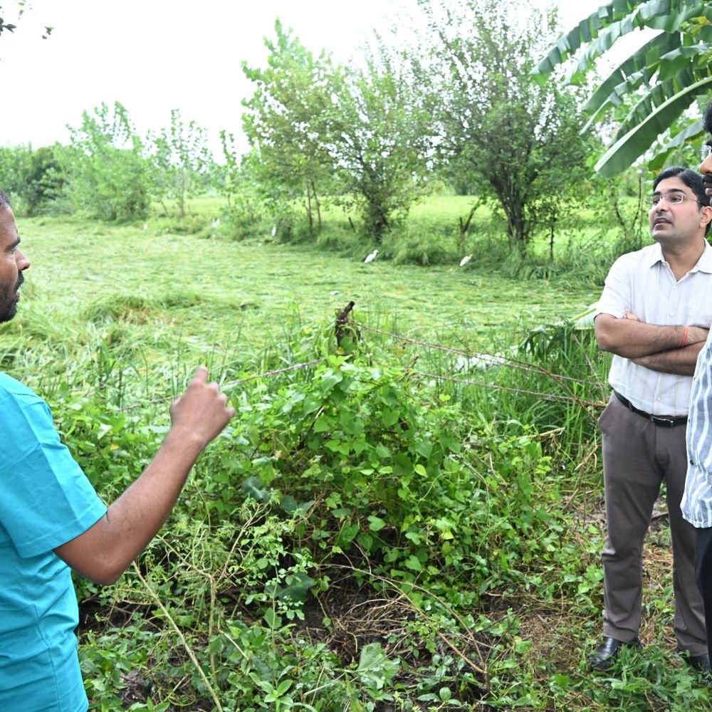 संभल में बारिश से फसलों को नुकसान की आशंका:डीएम ने खेतों में पहुंचकर देखा हाल, पात्र किसानों को नियमों के तहत राहत देने की तैयारी