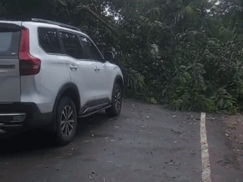 बलिया में चौथे दिन भी बारिश-तेज हवाओं का दौर:24 घंटे में 15 मिमी पानी गिरा, 34 किमी की रफ्तार से चली हवा