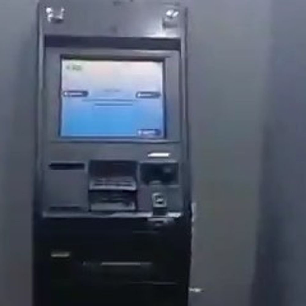 SBI ATM में घुसी गाय और कुत्ता; VIDEO:बारिश से बचने के लिए अंदर बैठे दिखे, लोग देखकर बाहर से लौटे