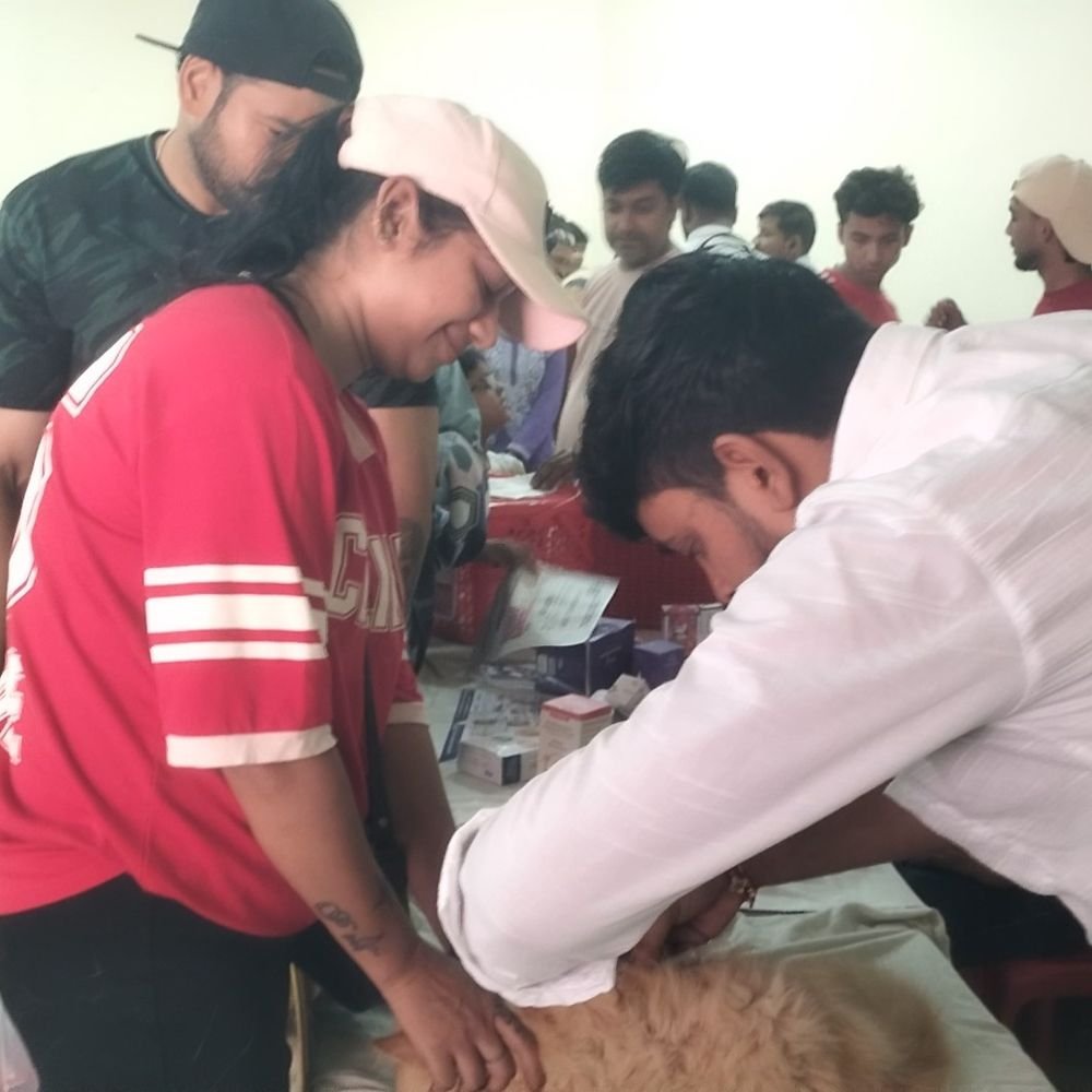 इटावा में रेबीज दिवस पर पेट हेल्थ कैंप:1200 कुत्ते-बिल्लियों को लगाए टीके, 2500 का हुआ स्वास्थ्य परीक्षण