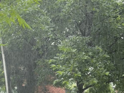 प्रयागराज में 24 घंटे से रुक-रुककर बारिश:चल रही तेज हवाएं, तापमान गिरा, धान की फसल को नुकसान