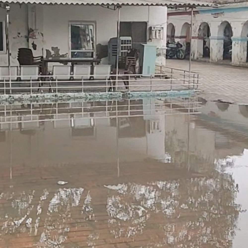हाथरस में बारिश से जलभराव, धान-बाजरा की फसल गिरी:तालाब ओवरब्रिज के नीचे पेड़ गिरा, कोतवाली सदर में घुसा पानी