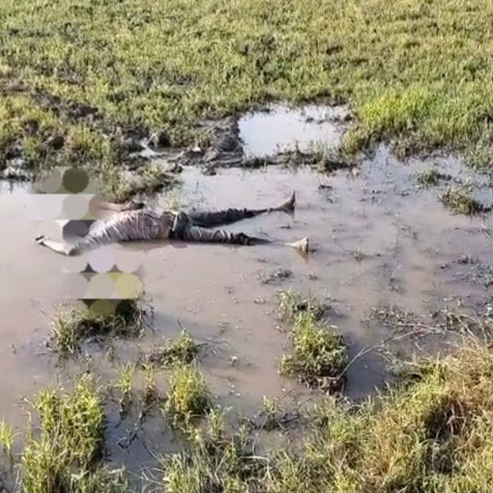 ललितपुर के बार में खेत में मिली की लाश:माता-पिता को स्टेशन छोड़ने गया था, मौके पर पहुंची पुलिस; कब्जे में लिया शव