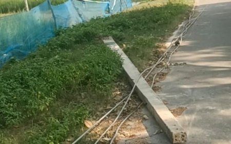 आंधी-बारिश से 200 से ज्यादा गांवों में बिजली गुल:पांच दिन बाद भी बहाल नहीं हो पाई सप्लाई, बिजली विभा गी टीमें जुटीं