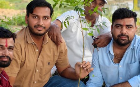 महुअर में समाजसेवियों ने पौधे लगाए:पक्षियों के लिए पेड़ों पर बांधे घोंसले, पौधारोपण का संदेश दिया