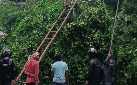 श्रावस्ती में आंधी-बारिश से बिजली व्यवस्था ध्वस्त, 1320 पोल टूटे:तेज हवाओं ने बढ़ाई मुश्किलें, पेड़ गिरने से तार-पोल क्षतिग्रस्त; आपूर्ति बाधित