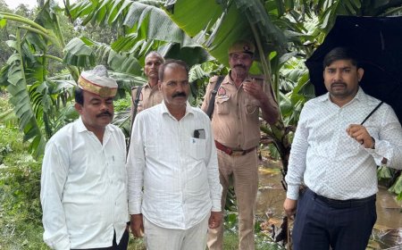 बारिश-तेज हवाओं से फसलों को भारी नुकसान:खेतों में पहुंचकर अधिकारियों ने लिया जायजा, किसानों को शीघ्र सहायता का भरोसा
