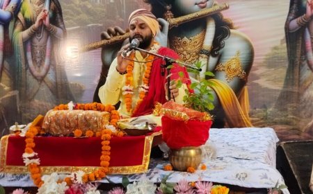 श्रीमद्भागवत कथा में सुनाई ध्रुव और शुकदेव की कहानी:वृंदावन धाम से पधारे कथा व्यास ने किया वर्णन, श्रद्धालु भक्ति में डूबे