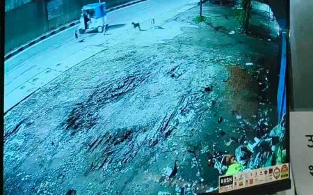 कानपुर में स्क्रैप गोदाम से 12 लाख का माल चोरी:ऑटो से पहुंचे चोर,सब्बल से ताले तोड़े, एक बाहर निगरानी करता रहा