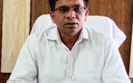 देरी पर 20% तक घट सकती है उपज:बलरामपुर में अतिवृष्टि और तेज हवा से गन्ना खेतों में बिछा, किसानों से तुरंत बांधने की अपील