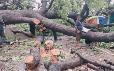कानपुर में बारिश-तेज हवा से बिजली सप्लाई बाधित:20 HT-LT पोल क्षतिग्रस्त,15 ट्रांसफॉर्मरों मे फाल्ट, केस्को ने कहा- तेजी से हो रहा काम