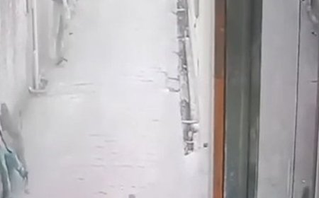 मथुरा में बंदरों ने मासूम बच्चे पर हमला किया:हमले का CCTV वीडियो वायरल, लोग दहशत में; निगम से कार्रवाई की मांग