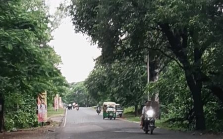 झांसी में आज 30℃ टेम्परेचर:तेज धूप के साथ बहेंगी ठंडी हवाएं, सामान्य रहेगा मौसम