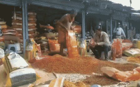 गोरखपुर मंडल की सबसे बड़ी मंडी करोड़ों का नुकसान:चना, सोयाबीन की बोरियां भीगीं; व्यापारी बोले- साल बदला, हालत नहीं