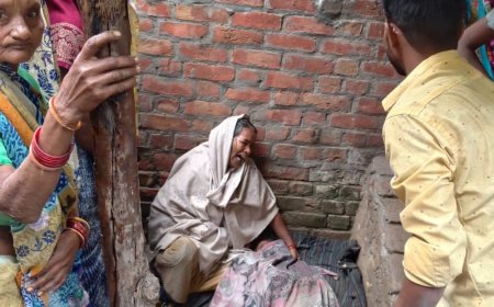 हरदोई में पकड़िया का पेड़ गिरने से बच्ची की मौत:मकान की दीवार ढही, मलबे में दबकर माता-पिता घायल