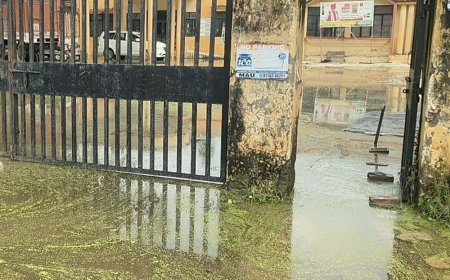 मऊ का एआरटीओ कार्यालय बारिश से जलमग्न, आवाजाही ठप:निकासी की व्यवस्था नहीं होने से परिसर में भरा पानी; पेड़ गिरने से रास्ता भी बंद