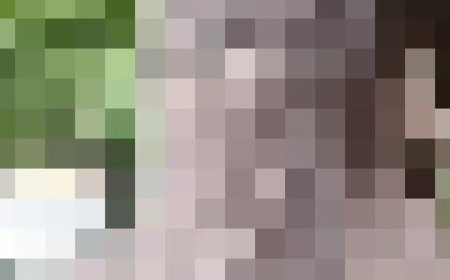 महिला ने दुष्कर्म और ब्लैकमेलिंग की शिकायत दी:बागपत में नौकरी का झांसा देकर शोषण करने का आरोप, पुलिस ने पैसों के विवाद की बात कही