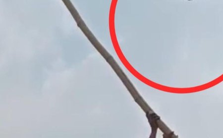 गाजियाबाद में मांझे की डोर में फंसकर फड़फड़ाता रहा कबूतर:राहगीरों ने गाड़ियों पर चढ़कर मशक्कत के बाद बचाई जान