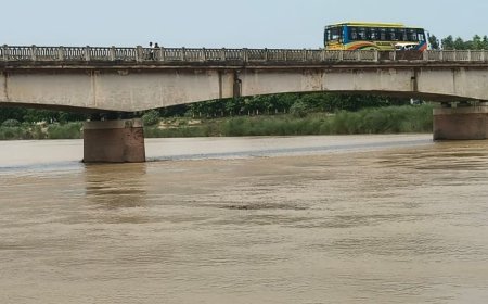 बलरामपुर में राप्ती नदी चेतावनी बिंदु के पार:तीन दिन में 94.4 मिमी बारिश; एक घंटे में 3 सेंटीमीटर बढ़ा पानी, निचले इलाकों में बढ़ी चिंता