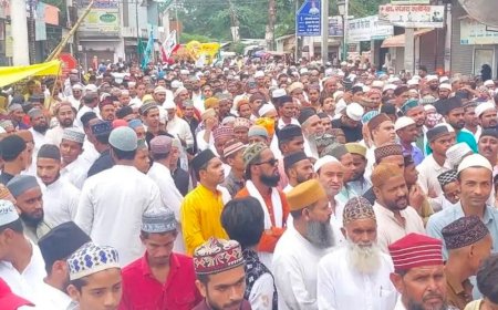 अकीदत के साथ निकला जुलूस-ए-गौसिया:पीलीभीत में उलमाओं ने दिया आपसी भाईचारे और नेकी का संदेश