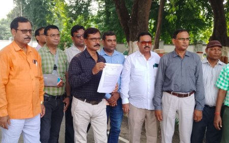 आयुष-डॉक्टरों ने मानदेय में अंतर खत्म करने की मांग की:बलिया में एसोसिएशन ने दी आंदोलन की चेतावनी, सीएम के नाम सौंपा ज्ञापन
