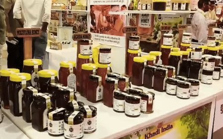 यूपी ट्रेड शो में 16 तरह का शहद:हर फूल का अलग स्वाद और फायदा, सरसों के शहद का सबसे ज्यादा उत्पादन, विदेशों में होती है सप्लाई