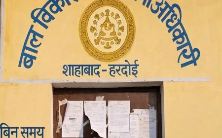 फर्जी दस्तावेजों से नौकरी पाने वाली पूर्व आंगनबाड़ी-कार्यकत्री पर FIR:हरदोई में डीएम के आदेश पर हुई कार्रवाई, CDPO ने दर्ज कराई रिपोर्ट