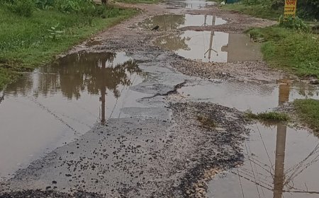 मनीषा मैरिज से पोखरा आवास सड़क गड्ढों में बदली:जलभराव से राहगीर परेशान, लोगों ने मरम्मत की मांग की