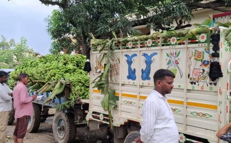 सुल्तानपुर में 'अर्नब चक्रवात' से केले की फसल बर्बाद:किसानों को औने-पौने दाम पर बेचनी पड़ रही उपज, लाखों का नुकसान