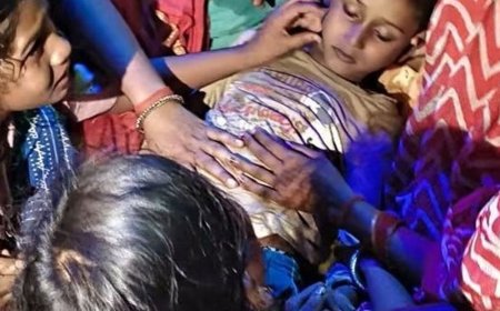सोनभद्र में बालक को सांप ने डसा, मौत:पिता के साथ खेत में मिर्च तोड़ रहा था, इलाज के दौरान तोड़ा दम