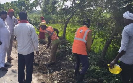 रामकोला में स्वच्छता अभियान:चित्रगुप्त नगर में सड़क किनारे से झाड़ियां हटाई, अध्यक्ष प्रतिनिधि ने लिया जायजा