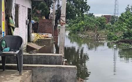 मैनपुरी में 2-दिन की बारिश से घरों में भरा पानी:आधा दर्जन से ज्यादा मोहल्लों में जलभराव, लोग घरों में कैद; फसलों को भी नुकसान