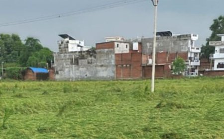 अंबेडकरनगर में बारिश-तेज हवा से 29 कच्चे मकान क्षतिग्रस्त:3 दिन से लगातार बारिश और तेज हवा का असर, खेतों में धान की फसल गिरी
