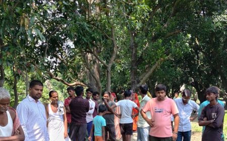 प्रतापगढ़ में नाले में डूबने से युवक की मौत:शौच के लिए घर से निकला था, परिजनों में शोक का माहौल