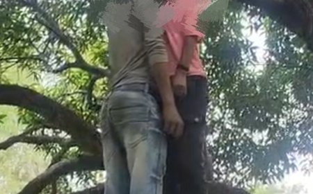 हरदोई में नाबालिग प्रेमी-प्रेमिका ने सुसाइड किया:उम्र 14 और 16 साल, व्हाट्सएप स्टेटस पर लिखा- फांसी लगा ली, देख लो आके