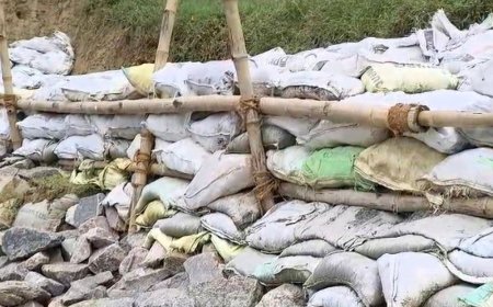 कौशांबी में DFC लाइन किनारे मिट्टी कटी:सिराथू में 5 किमी तक कटाव, रेलवे ने बांस-बल्ली लगाकर की बैरिकेडिंग