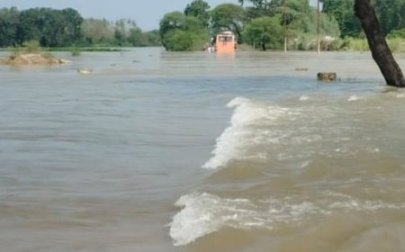 बलरामपुर में बाढ़ के पानी में फंसी बस:रस्सी के सहारे यात्रियों को निकाला, गौरा-तुलसीपुर मार्ग पर करीब एक मीटर पानी