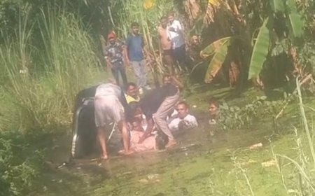 बिजनौर में कार गहरे गड्ढे में गिरी, एक की मौत:नूरपुर-धामपुर मार्ग पर हादसा, दो गंभीर घायल हायर सेंटर रेफर