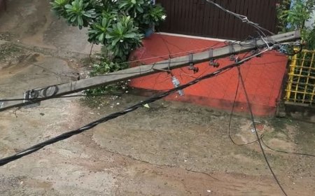 लखनऊ में बारिश के कारण बिजली आपूर्ति ठप:70 जगह पेड़ गिरने से 130 से ज्यादा खंभे-तार टूटे, 4 से 14 घंटे तक बिजली गुल
