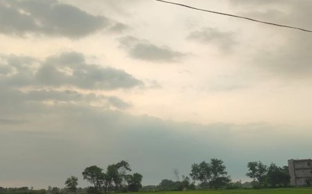 आजमगढ़ में रविवार को भी बारिश का अलर्ट:शनिवार को हुई थी जिले में जोरदार बारिश, दो दर्जन से अधिक गिर गए थे पेड़