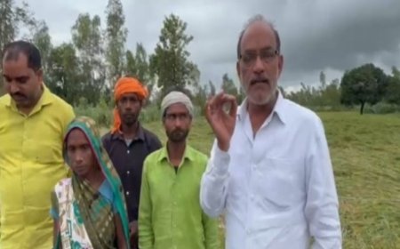 बर्बाद फसल देख कांग्रेस जिलाध्यक्ष ने की मुआवजे की मांग:शाहजहांपुर में बोले-डीएम के आदेश के बाद भी सर्वे नहीं, चीनी मिल मालिकों से मांगा मुआवजा